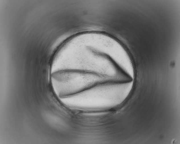 X0000113861171200910221434