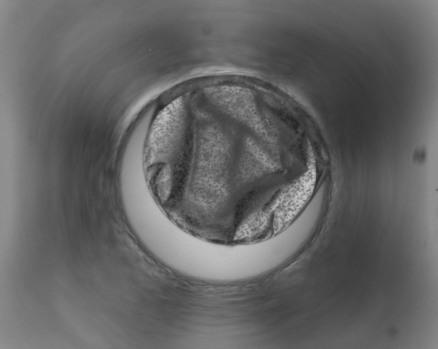 X0000113861173200910221434