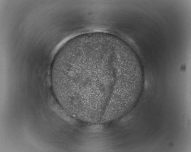 X0000113861174200910221434