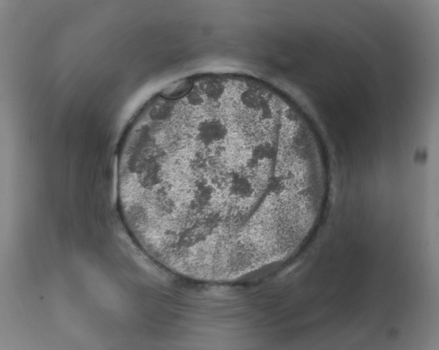 X0000113861175200910221434