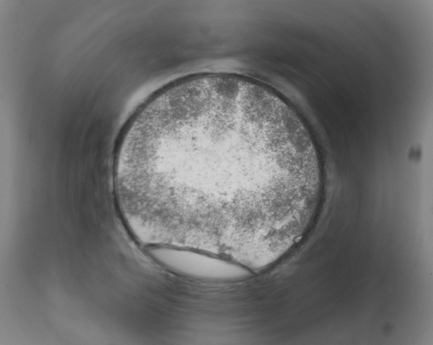 X0000113861176200910221434