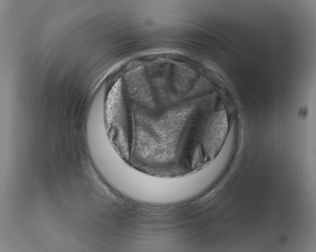X0000113861177200910221434