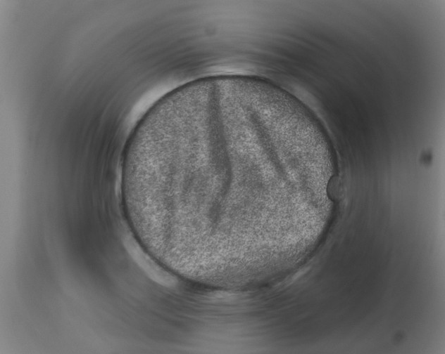 X0000113861179200910221434