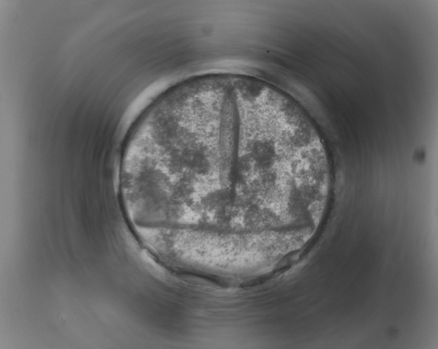 X0000113861180200910221434