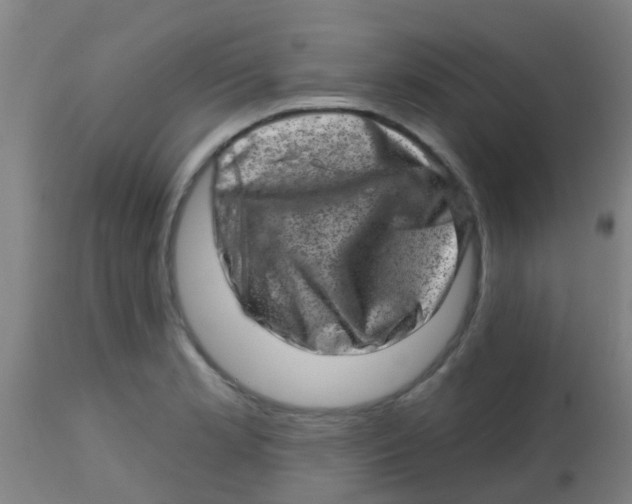 X0000113861181200910221434