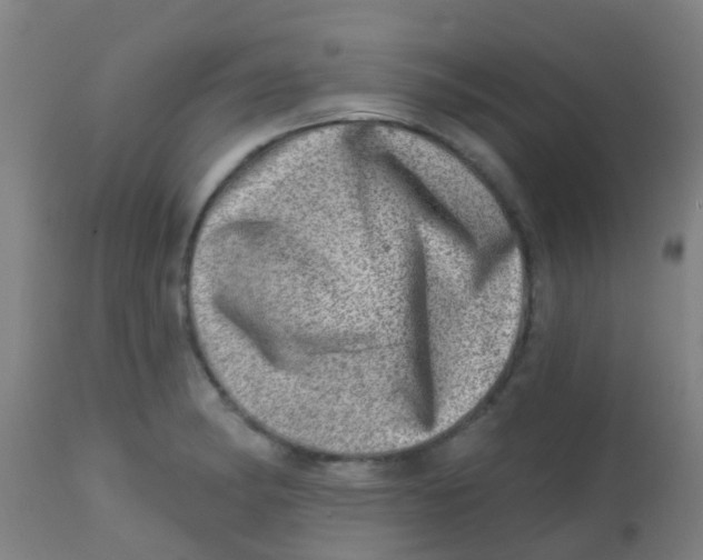 X0000113861182200910221434