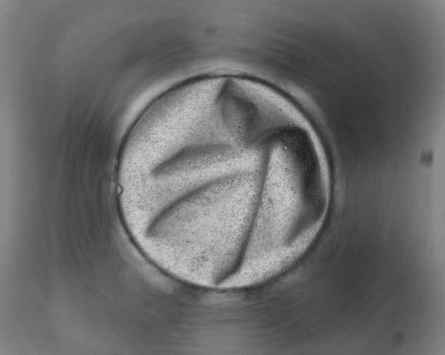 X0000113861183200910221434