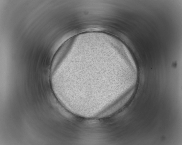 X0000113861186200910221434