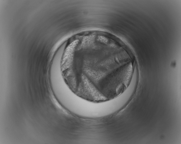 X0000113861189200910221434