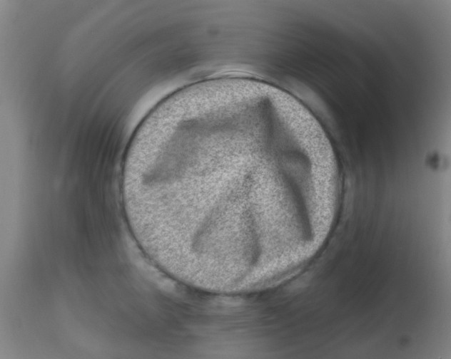X0000113861190200910221434