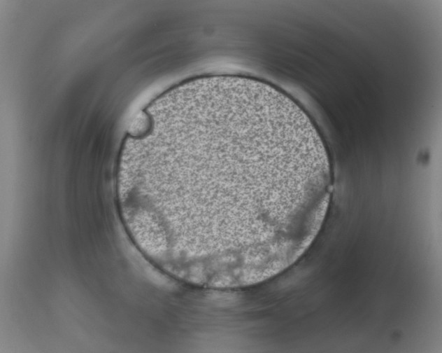 X0000113861191200910221434