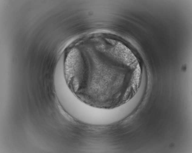 X0000113861193200910221434