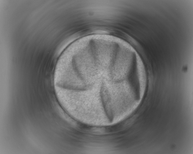 X0000113861194200910221434