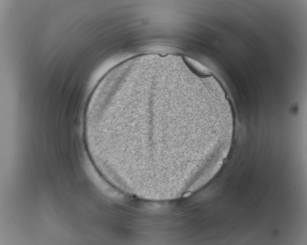 X0000113861195200910221434