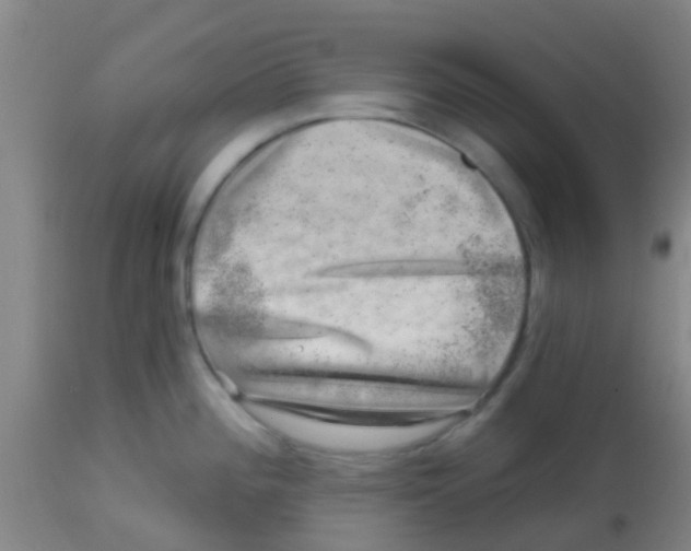 X0000113861196200910221434