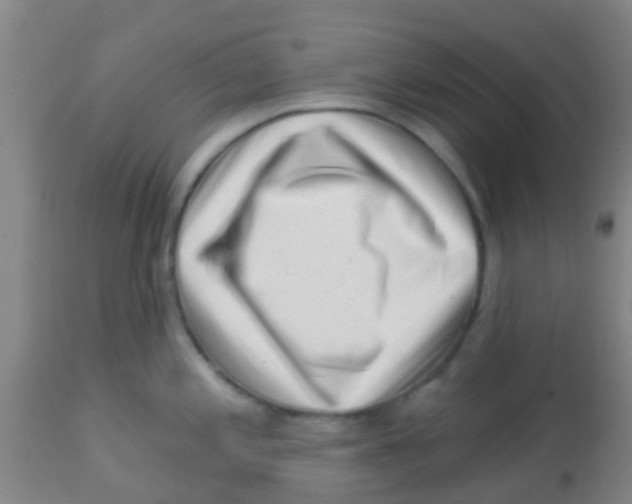 X0000113861197200910221434