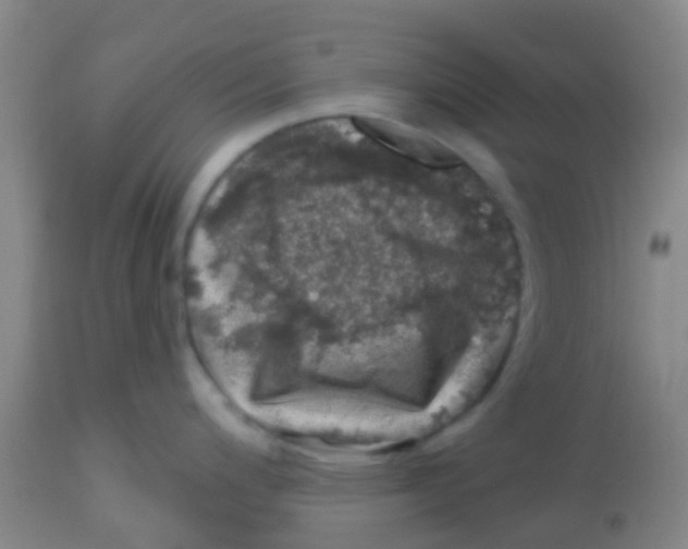 X0000113861200200910221434