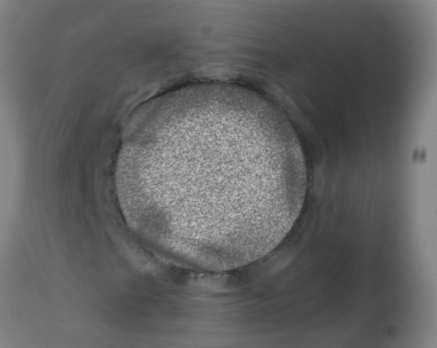 X0000113861201200910221433