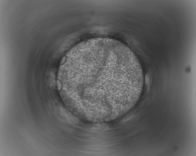 X0000113861203200910221433