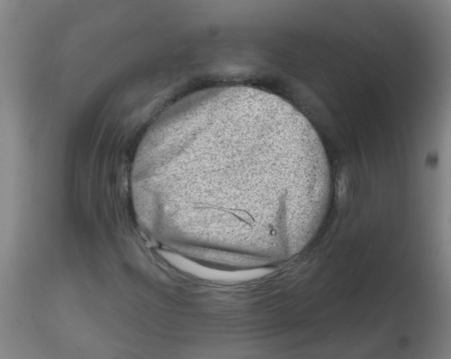 X0000113861204200910221433