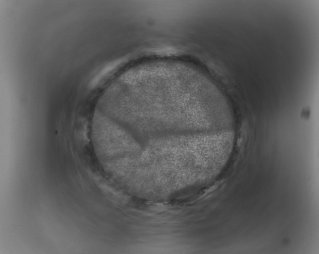 X0000113861205200910221433