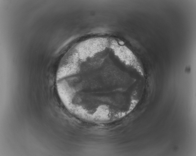 X0000113861206200910221433