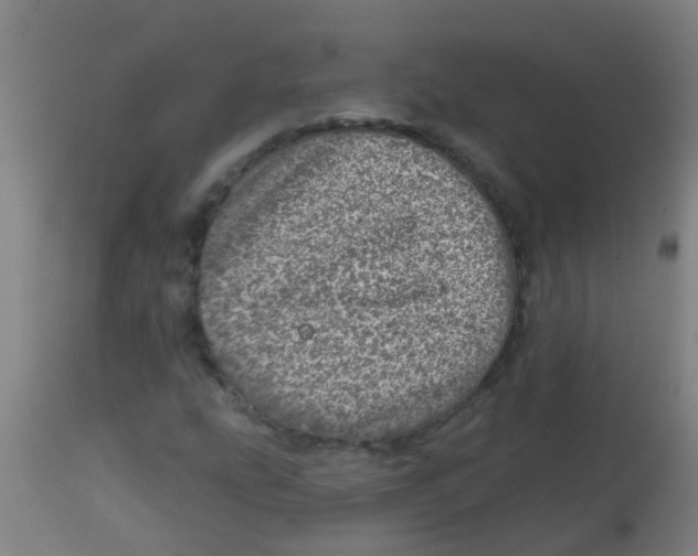 X0000113861207200910221433