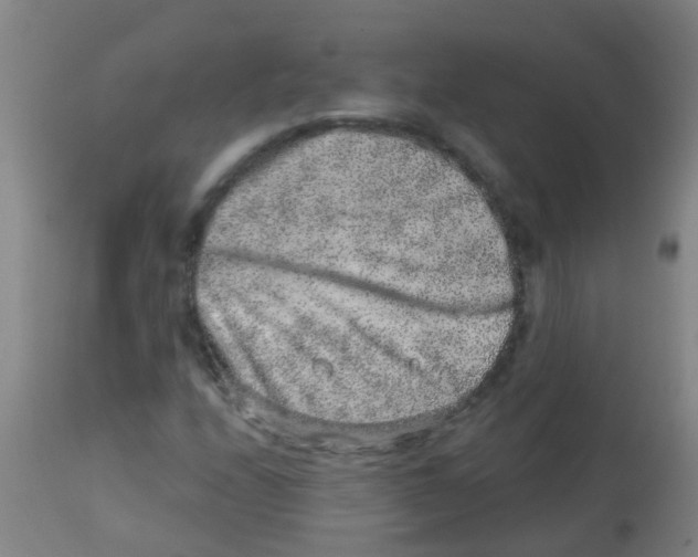 X0000113861208200910221433