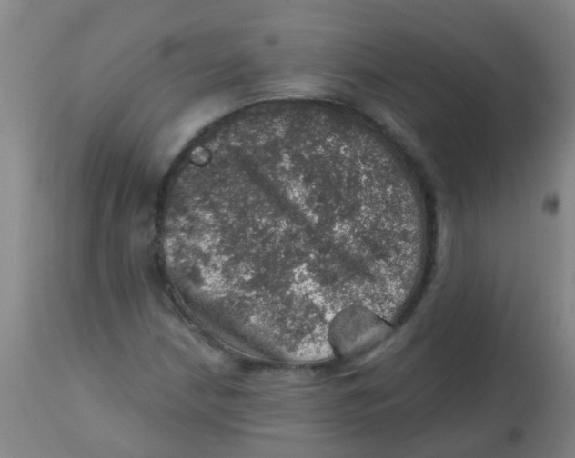 X0000113861210200910221433