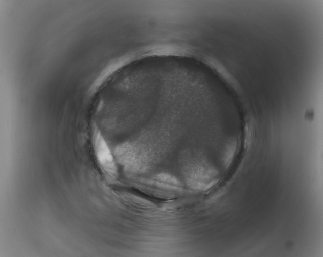 X0000113861213200910221433