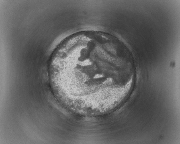 X0000113861215200910221433
