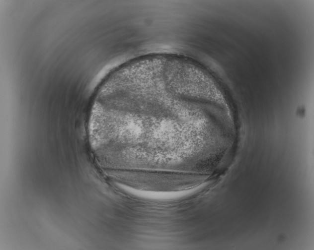 X0000113861218200910221434
