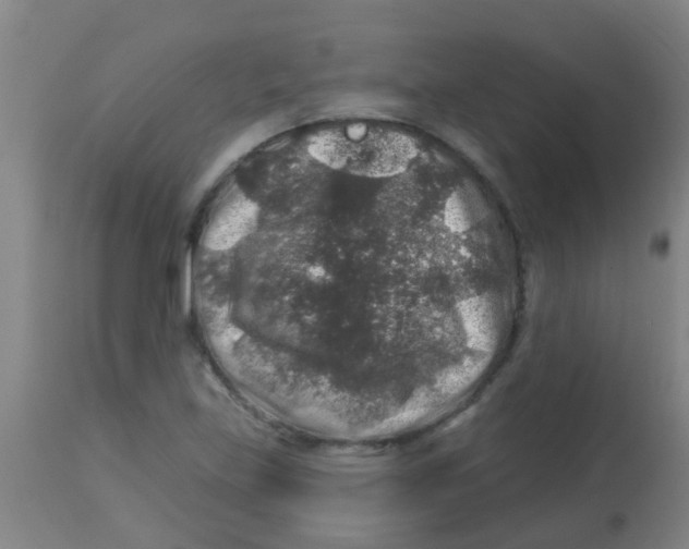 X0000113861219200910221434