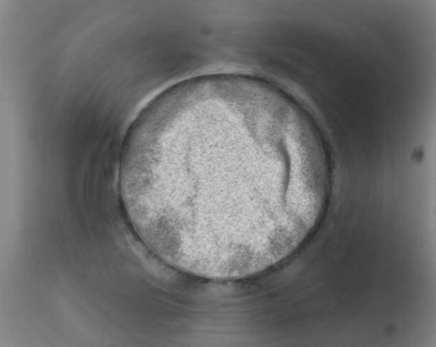 X0000113861220200910221434
