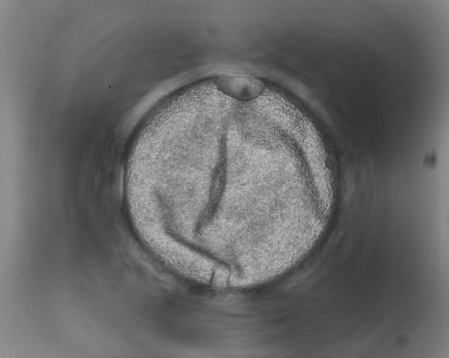 X0000113861221200910221434