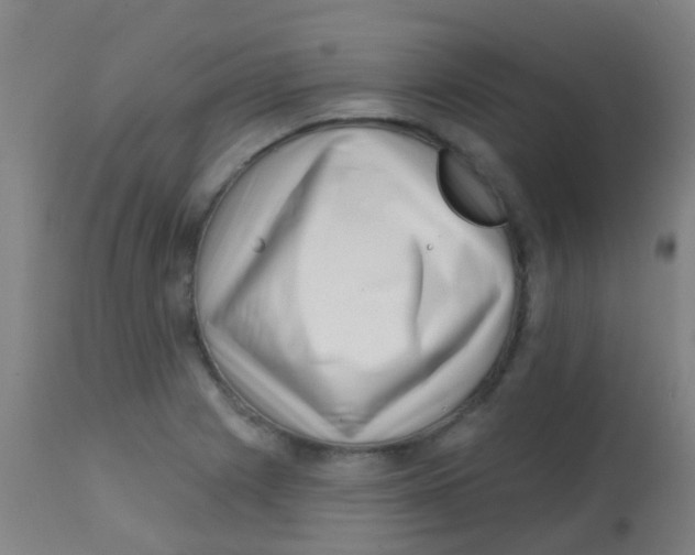 X0000113861225200910221434