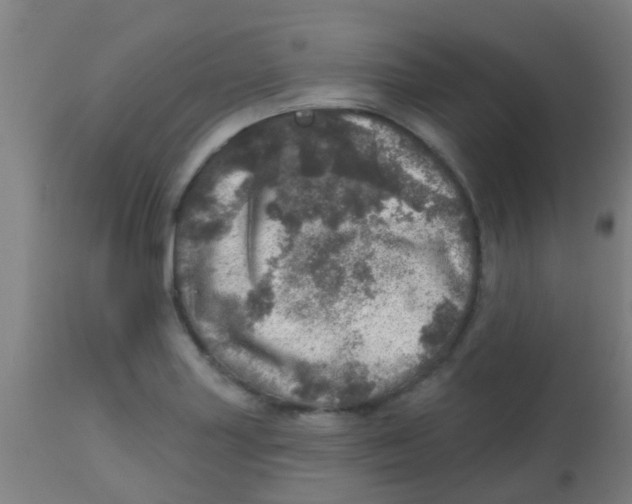 X0000113861227200910221434