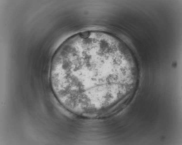 X0000113861228200910221434