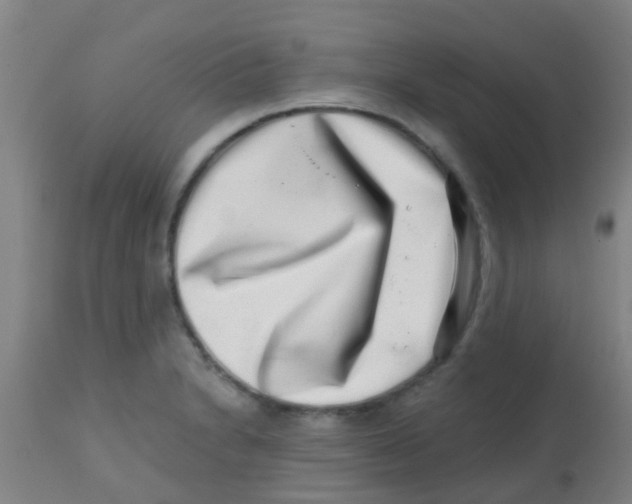 X0000113861230200910221434