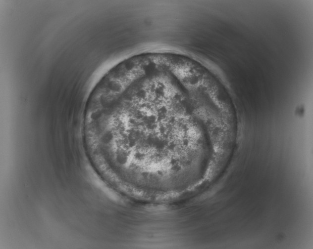 X0000113861231200910221434