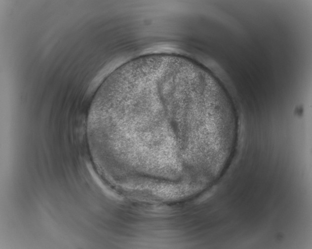 X0000113861233200910221434