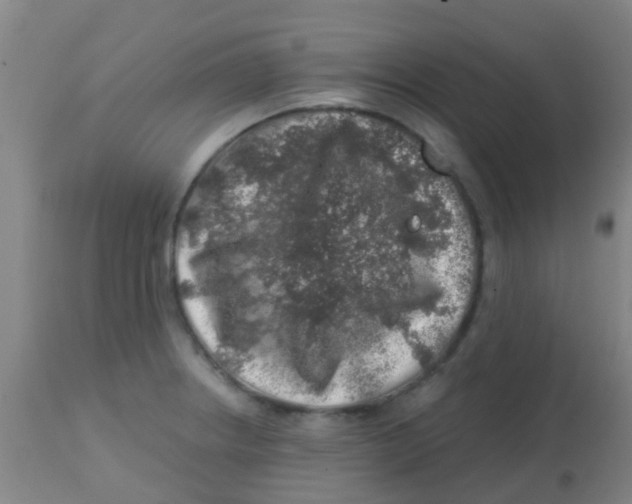 X0000113861234200910221434