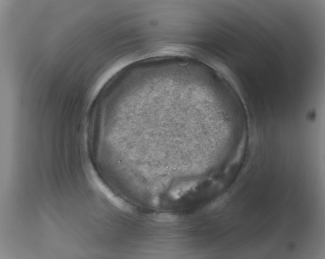 X0000113861235200910221434