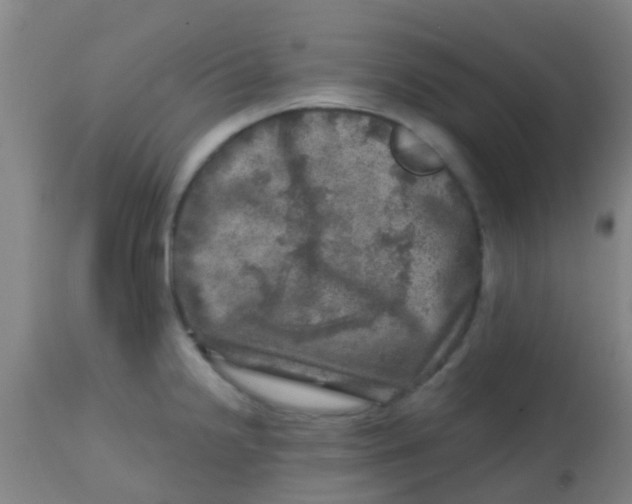 X0000113861238200910221434