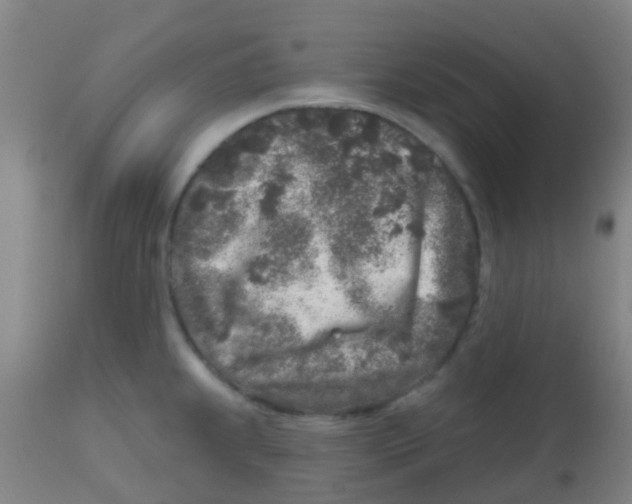 X0000113861239200910221434
