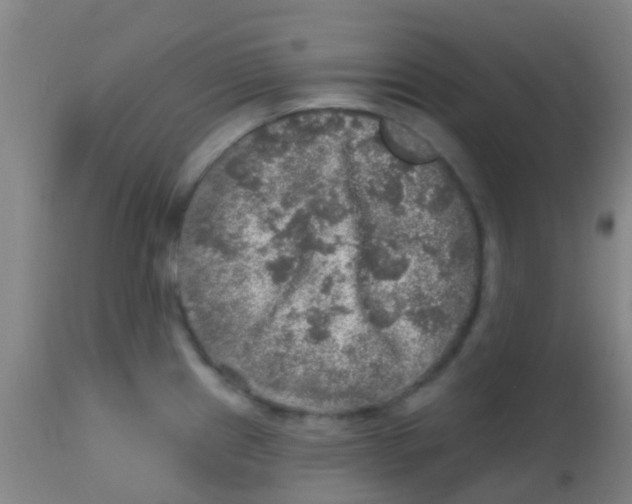 X0000113861241200910221434