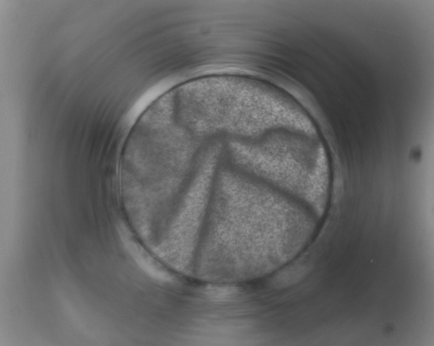 X0000113861242200910221434