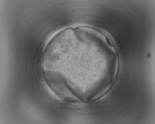 X0000113861244200910221434