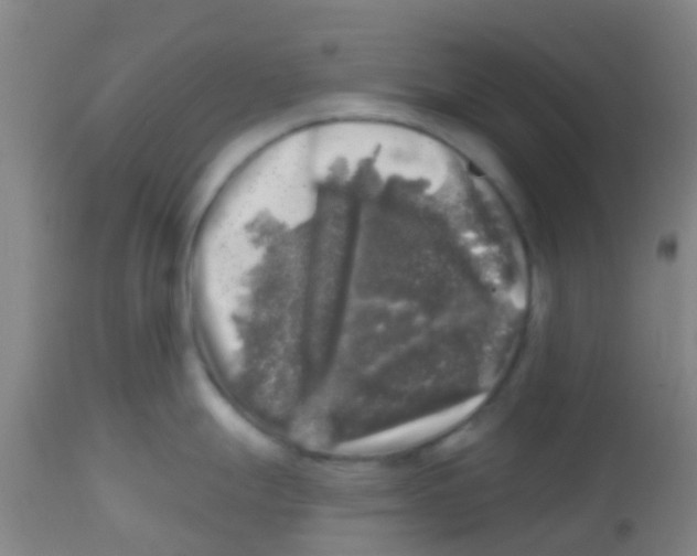 X0000113861247200910221434