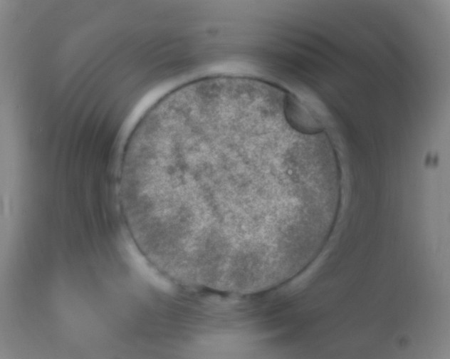 X0000113861248200910221434